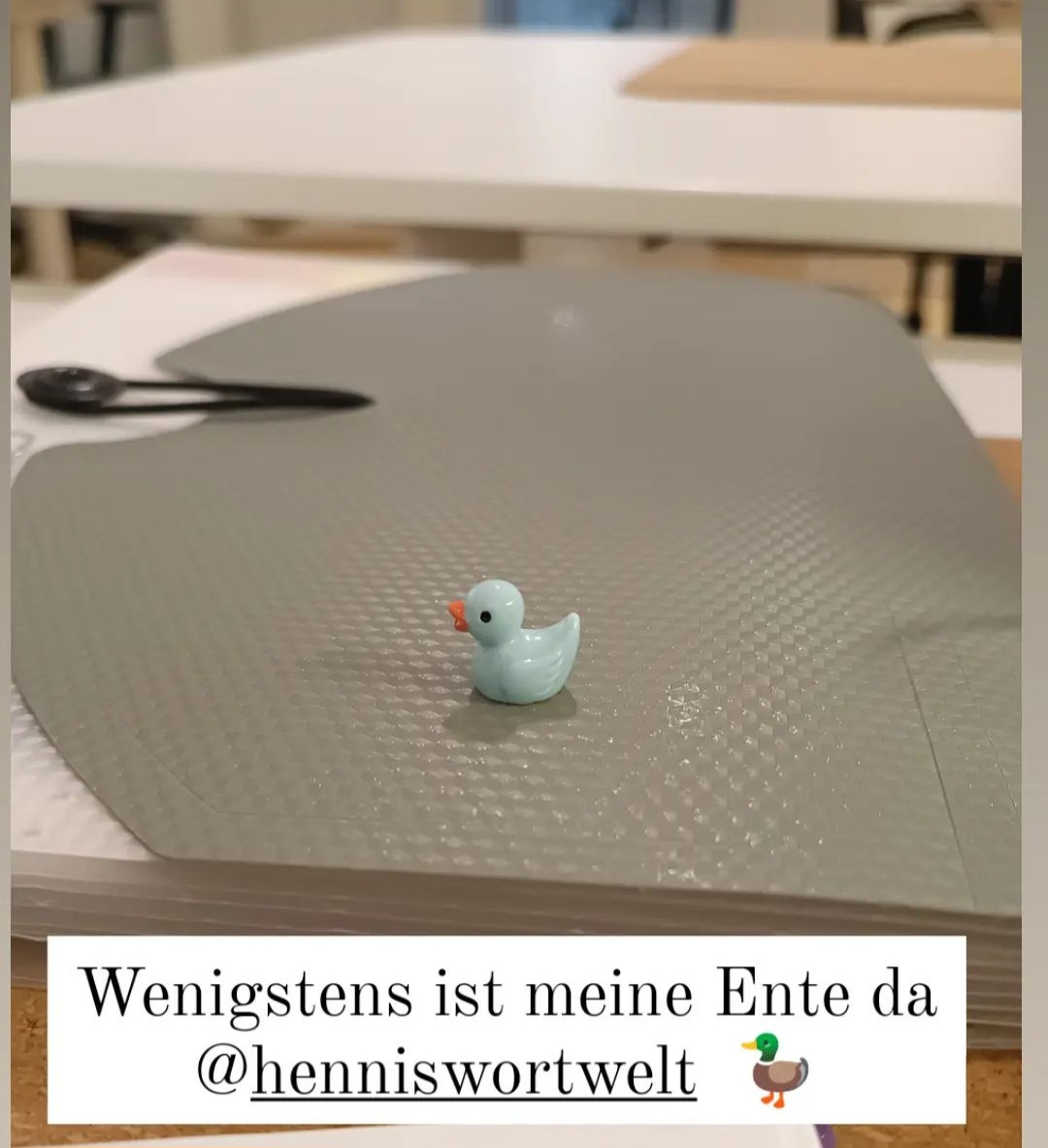 Claudia und Ente allein zuhaus ...